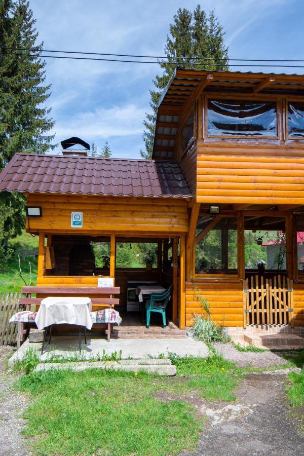 Pensiunea Viorica Arieseni Exterior photo