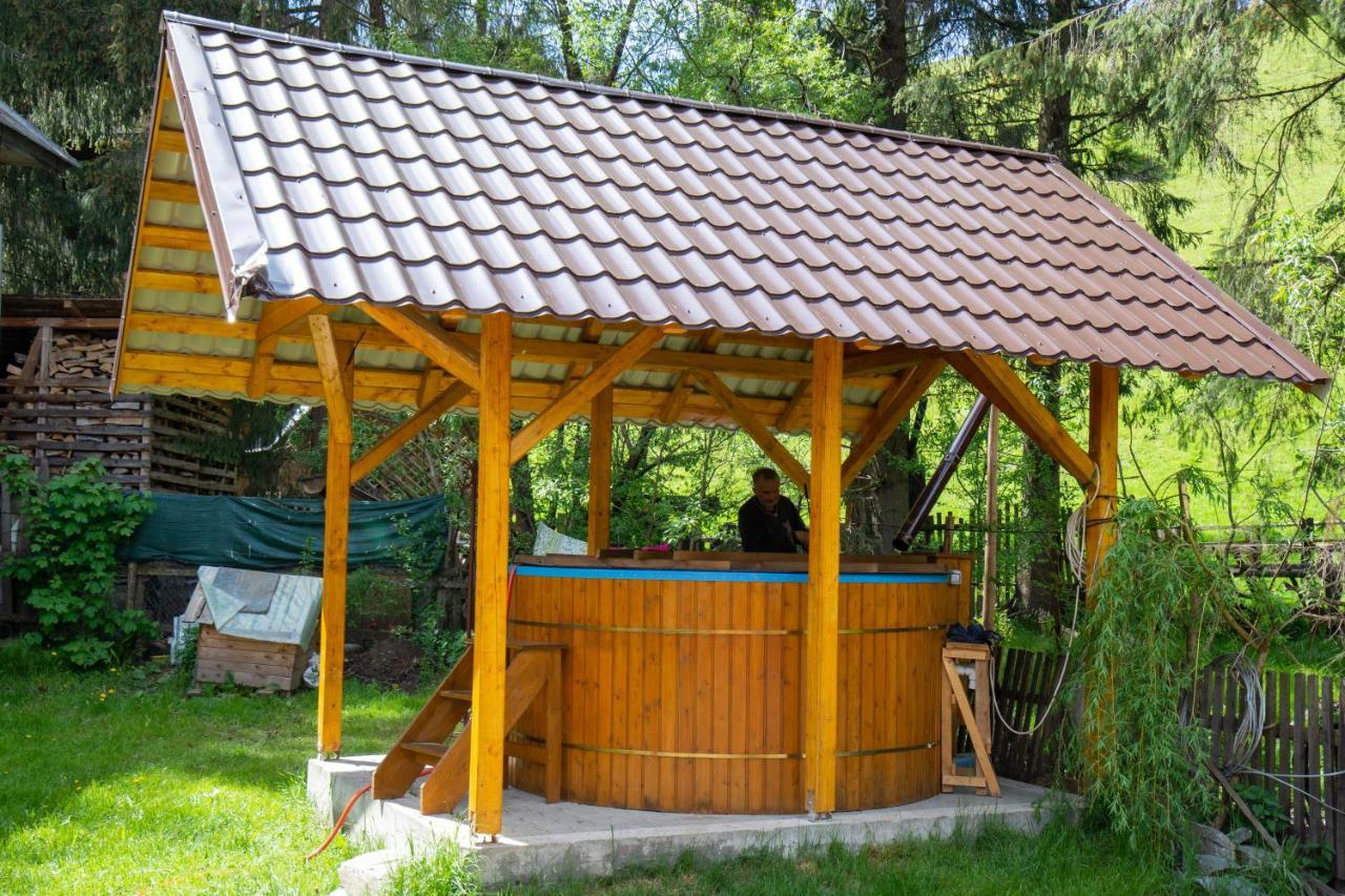 Pensiunea Viorica Arieseni Exterior photo