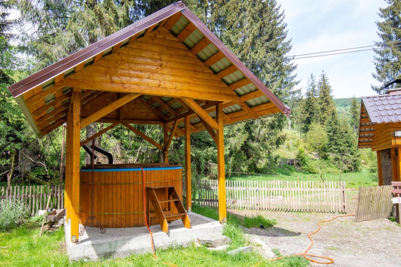 Pensiunea Viorica Arieseni Exterior photo